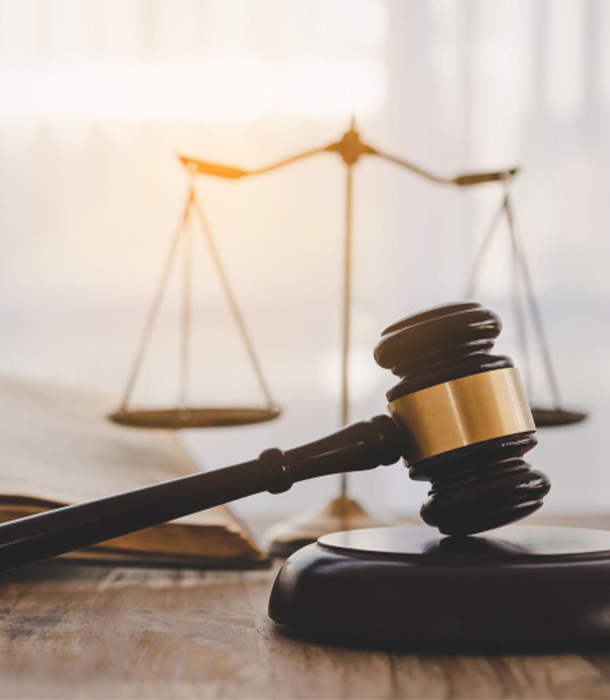 Dava Takibi ve Danışmanlık